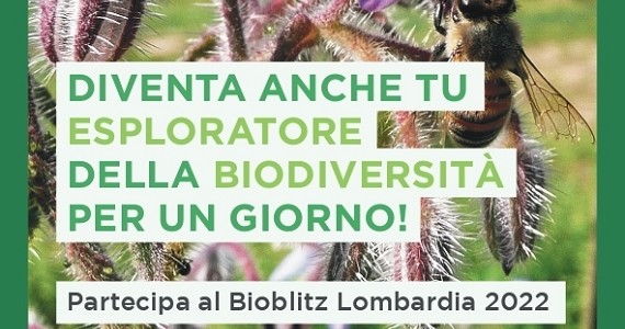 Immagine Bioblitz Lombardia