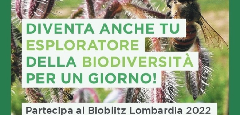 immagine Bioblitz Lombardia