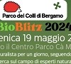 Bioblitz 2024: Diventa Naturalista per un giorno ! Immagine News