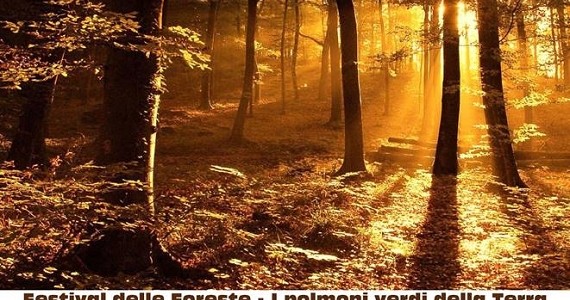 Immagine Festival delle Foreste - I polmoni verdi della Terra