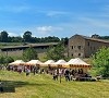 Laboratori, visite guidate, musica dal vivo e sapori del territorio, torna la Fiera del Parco dei Colli Immagine News