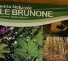 Cambio modalità presentazione pratiche nell'area del Monumento Naturale della Valle del Brunone Immagine News