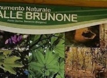 immagine Cambio modalità presentazione pratiche nell'area del  Monumento Naturale della Valle del Brunone