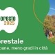 Immagine Eventi CAMMINA FORESTE URBANE 2025